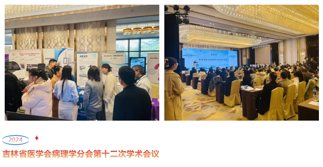 EMC易倍(中国区)体育官方网站